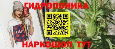 apvp Шелехов
