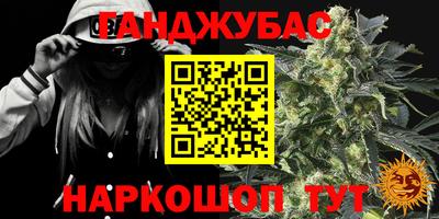 молекула духа Шебекино