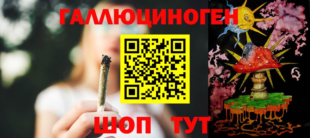 Псилоцибиновые грибы Psilocybine cubensis Азнакаево